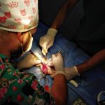 Yalıkavak Veteriner Cerrahi ve ortopedi