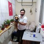 Yalıkavak Veteriner Cerrahi ve ortopedi