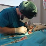 Yalıkavak Veteriner Cerrahi ve ortopedi
