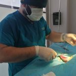 Yalıkavak Veteriner Cerrahi ve ortopedi