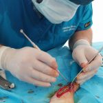 Yalıkavak Veteriner Cerrahi ve ortopedi