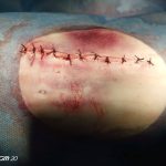Yalıkavak Veteriner Cerrahi ve ortopedi