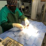 Yalıkavak Veteriner Cerrahi Kliniği