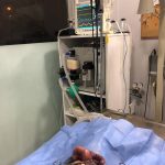 Yalıkavak Veteriner Cerrahi Kliniği