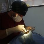 Yalıkavak Veteriner Cerrahi ve ortopedi
