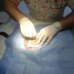 Yalıkavak Veteriner Cerrahi ve ortopedi