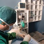 Yalıkavak Veteriner Cerrahi Kliniği