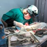 Yalıkavak Veteriner Cerrahi ve ortopedi