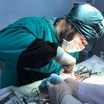 Yalıkavak Veteriner Cerrahi ve ortopedi