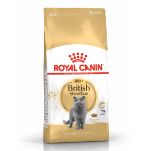 Royal Canin British Shorhair Yetişkin Kedi Maması