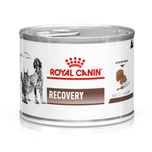 Royal Canin Recovery Yaş Mama 195gr