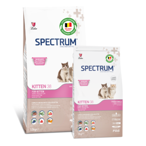 Spectrum Kitten 38 Yavru Kedi Maması