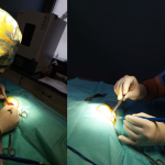 Yalıkavak Acil Veteriner Kliniği