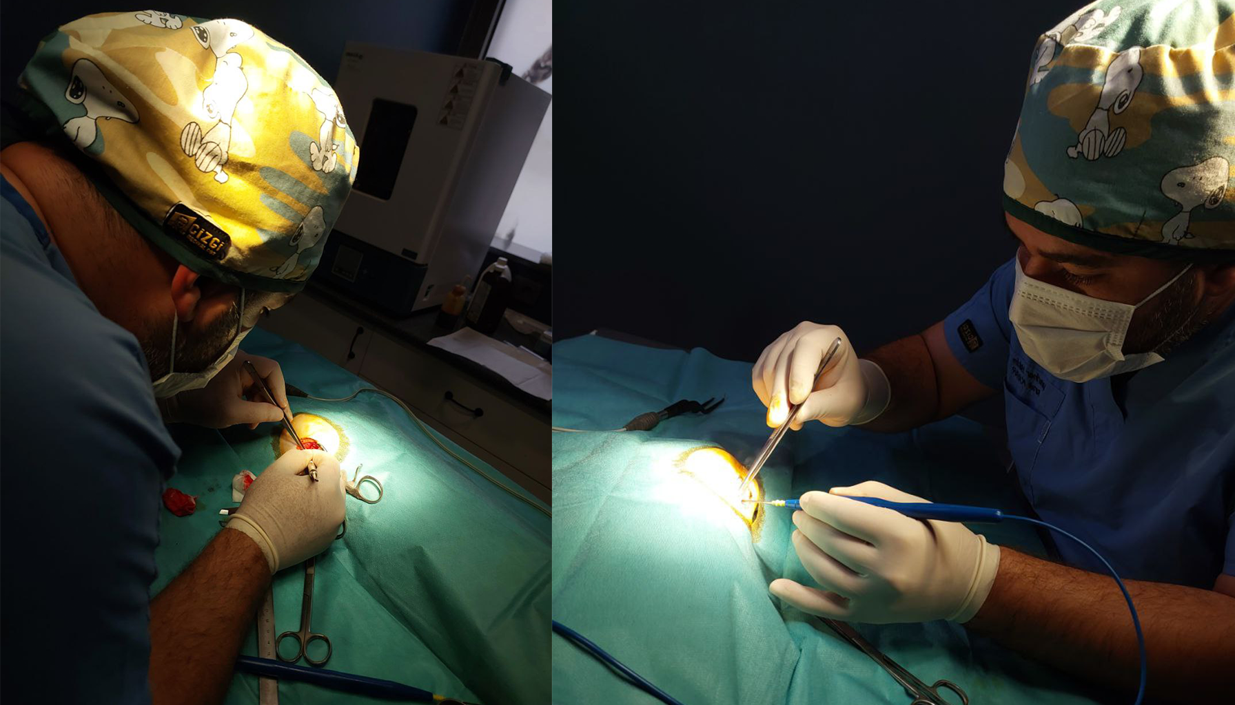 Yalıkavak Acil Veteriner Kliniği