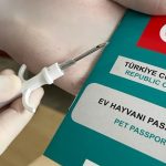 Yalıkavak veteriner mikroçip uygulama