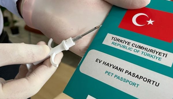 Yalıkavak veteriner mikroçip uygulama