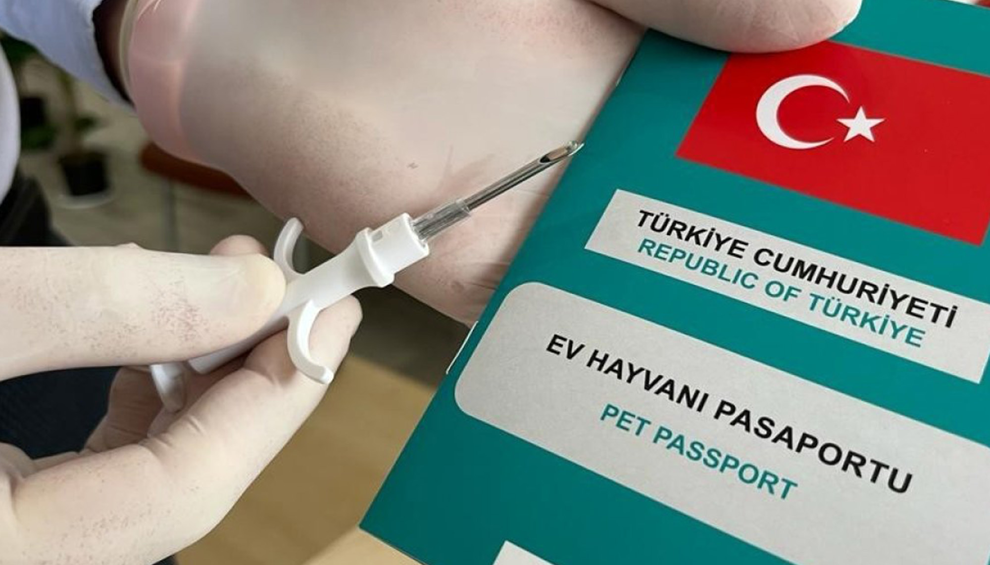 Yalıkavak veteriner mikroçip uygulama